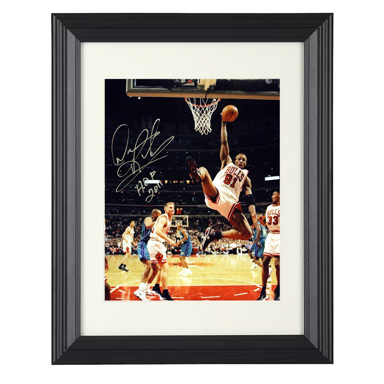Dennis Rodman - Hall of Fame Elevation vs New York 8x10 framed basketball wall art