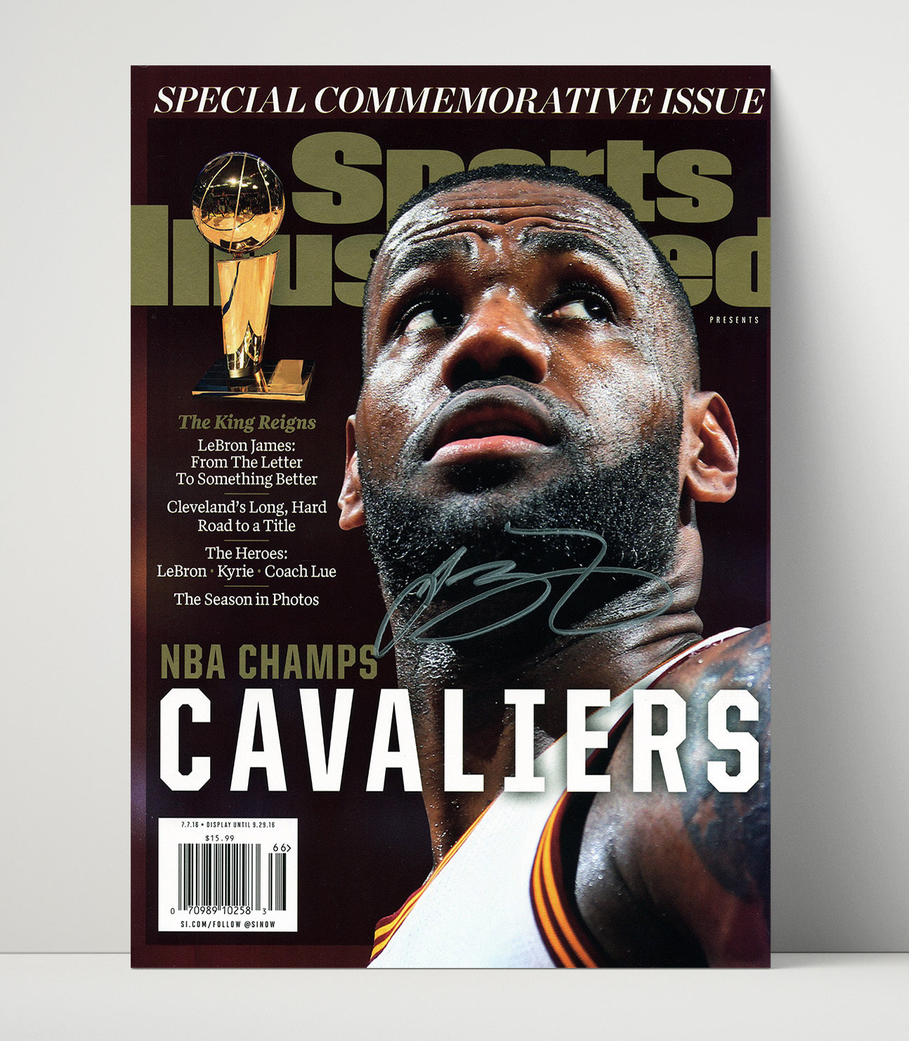 LeBron Cleveland Champion Spotlight Basketball Wall Art 16x20 Unframed Print basketball wall art print