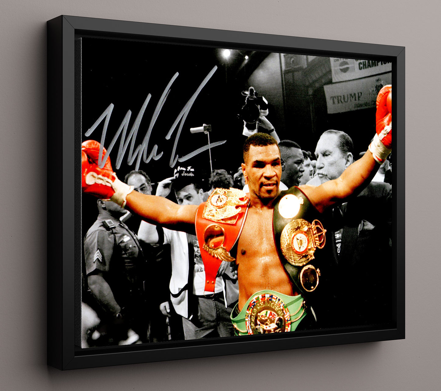 Mike Tyson Iron Reigns Supreme 20x24 Canvas boxing wall art