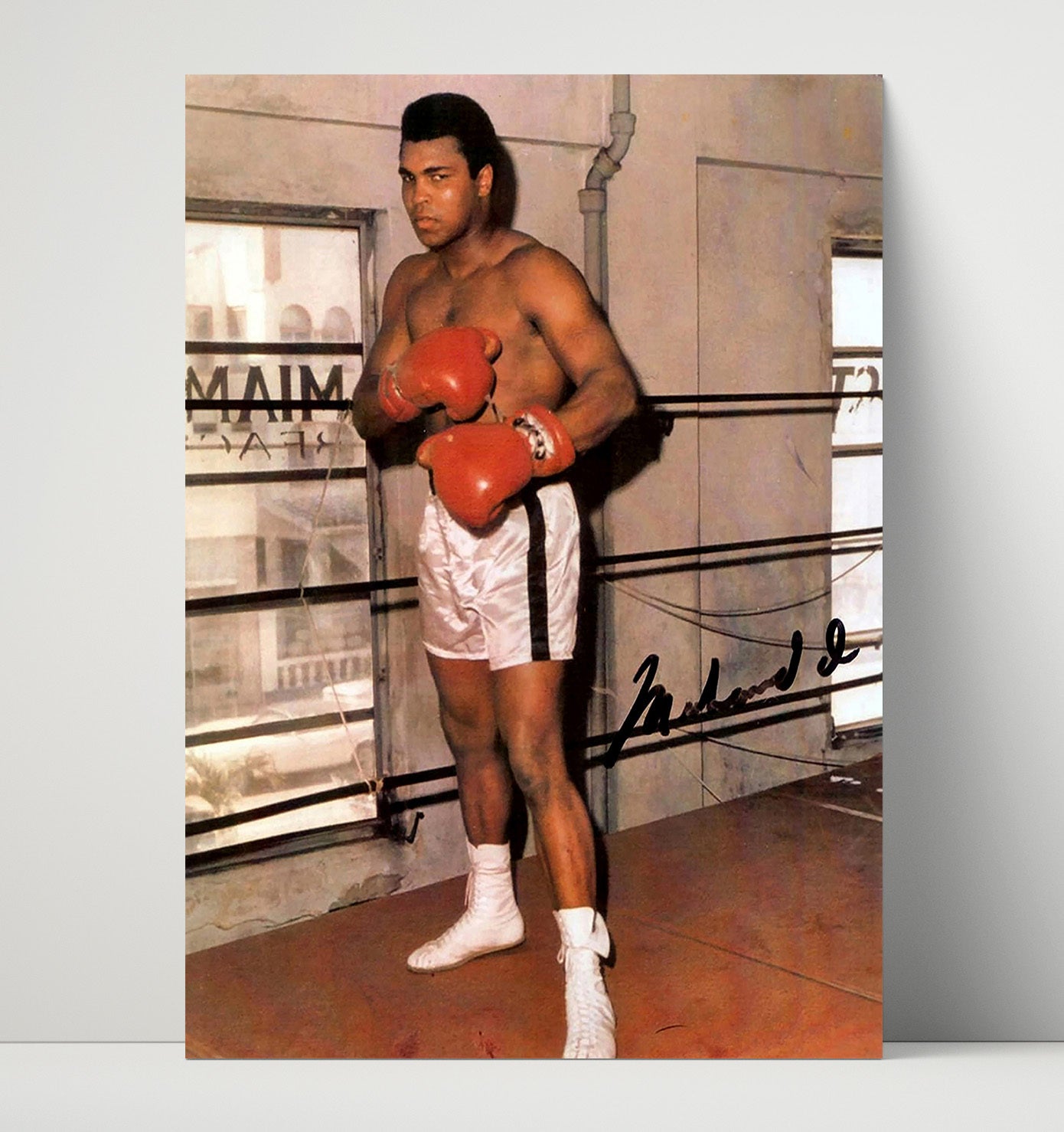 Muhammad Ali – Training Pose in Ring unframed boxing poster print
