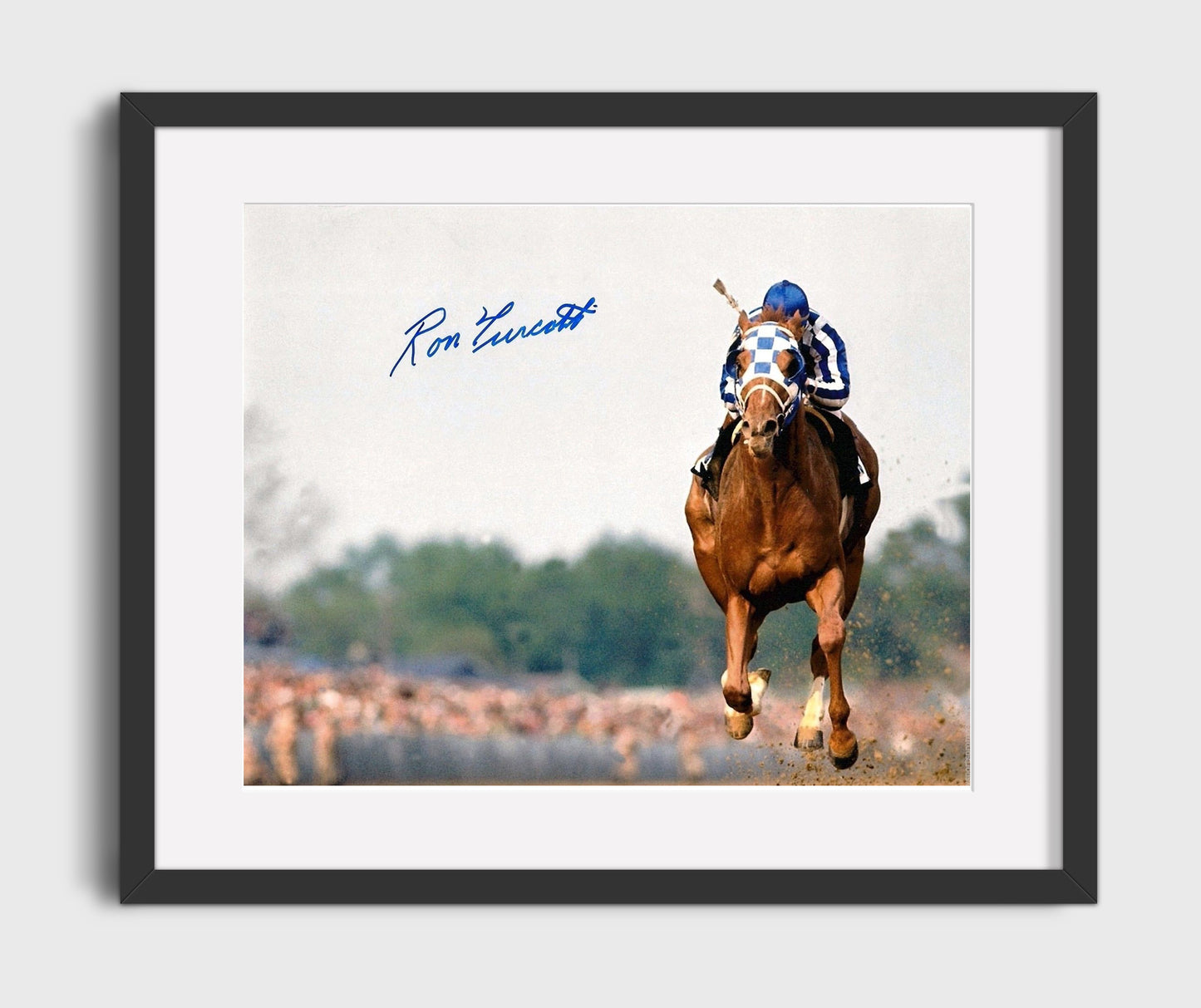 Ron Turcotte Secretariat Triple Crown Jockey Racing 16x20 Gallery Frame celebrity wall art