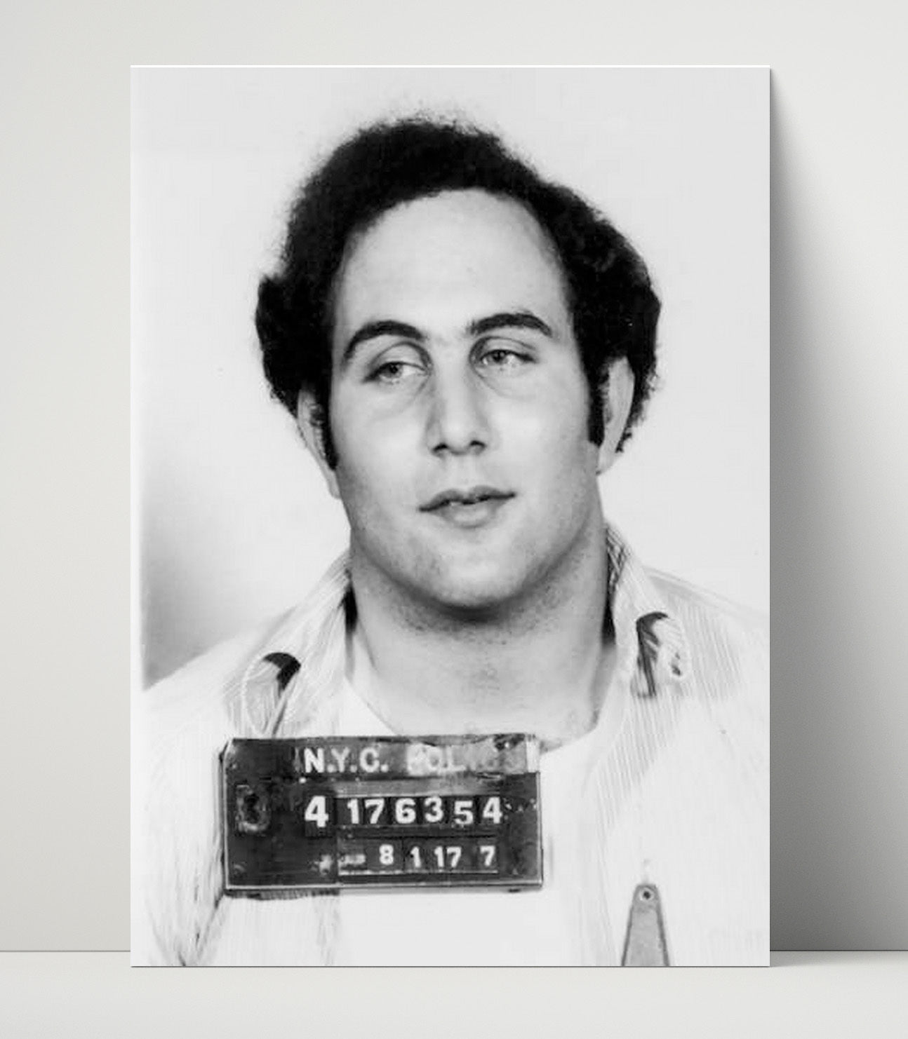 David Berkowitz New York City Police Department 1977 Mug Shot Print 16x20 Unframed Print mug shot wall art print
