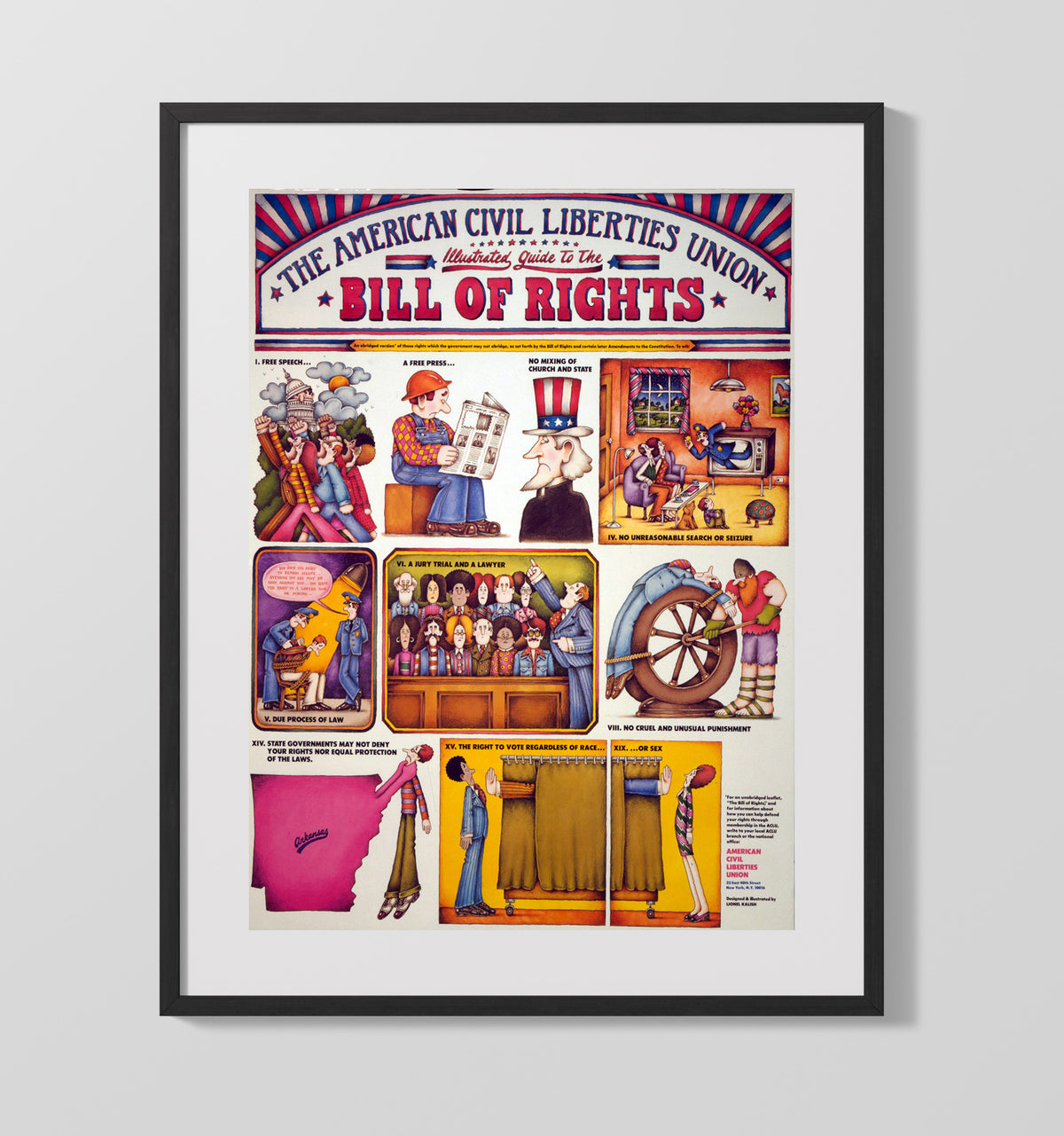Bill of Rights Illustrated Guide 16x20 Gallery Frame counterculture wall art
