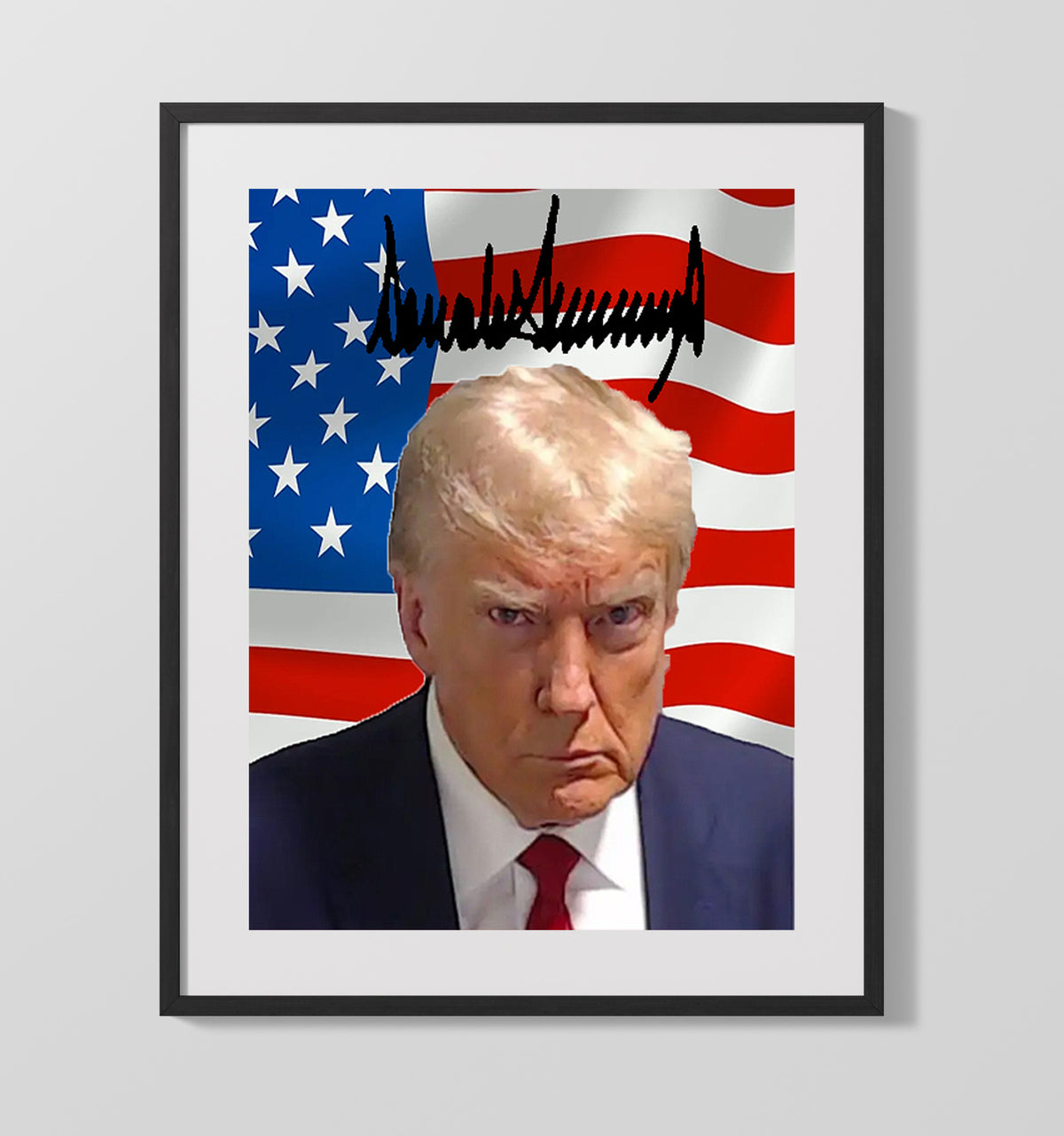 Donald Trump - Mug Shot Patriot 16x20 Gallery Frame history wall art