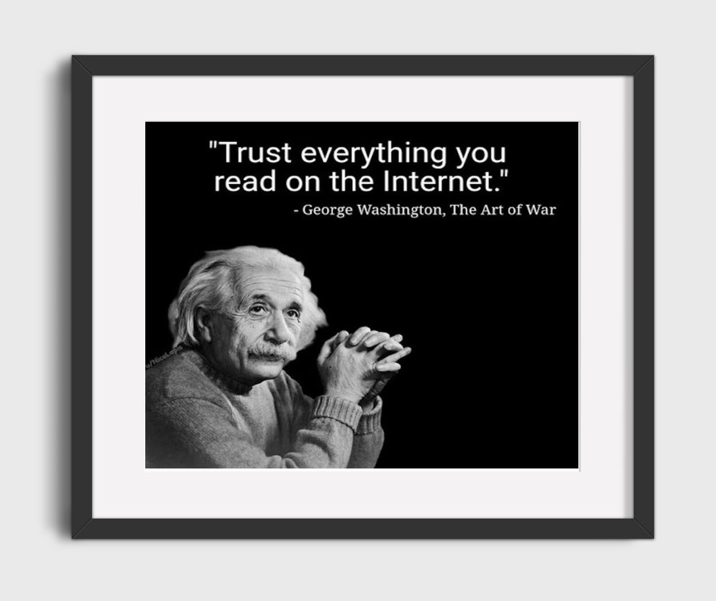 Albert Einstein - Trust Everything Online 16x20 Gallery Frame funny wall art