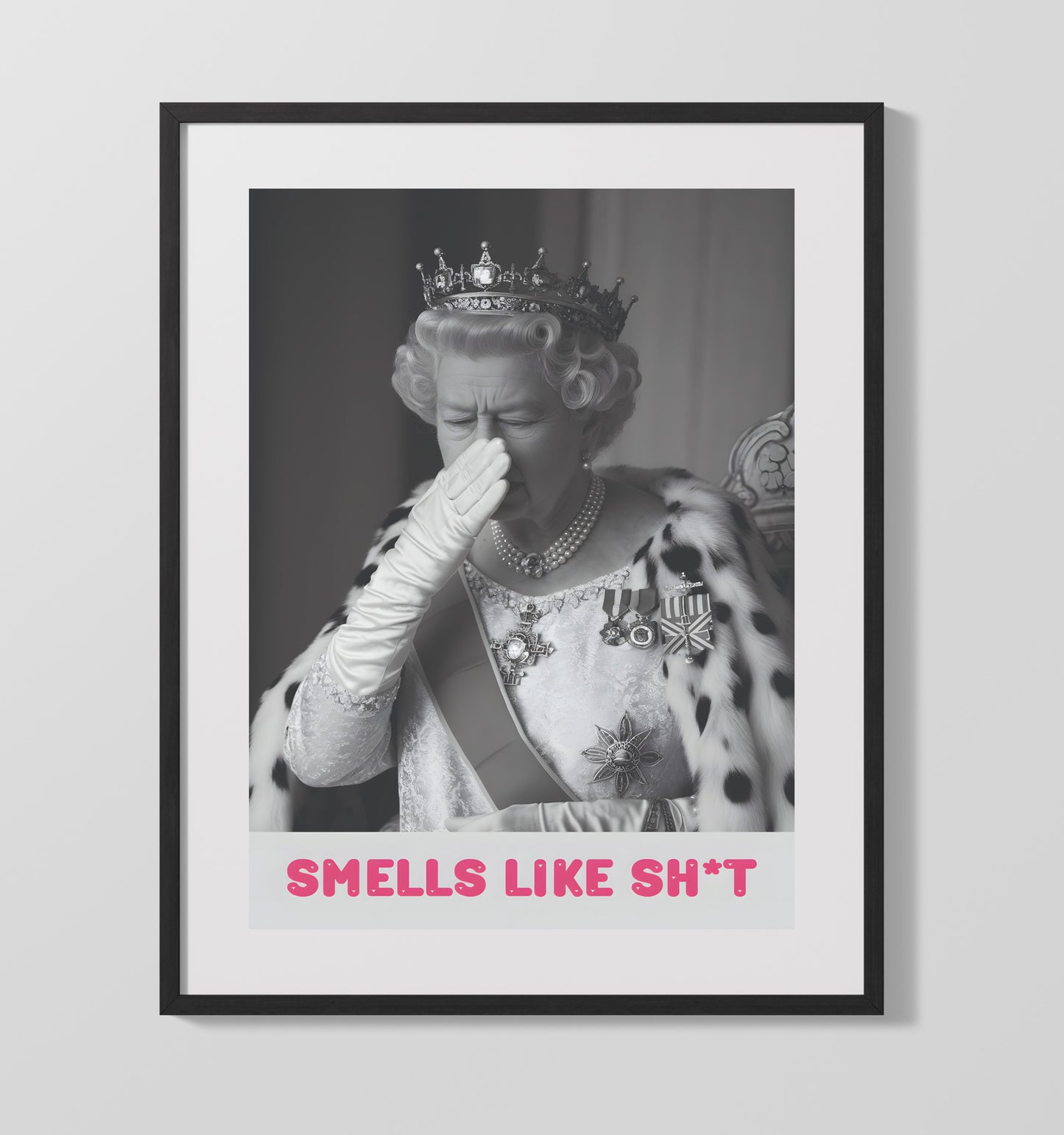 Smells Like Shit - Royal Satire 16x20 Gallery Frame funny wall art