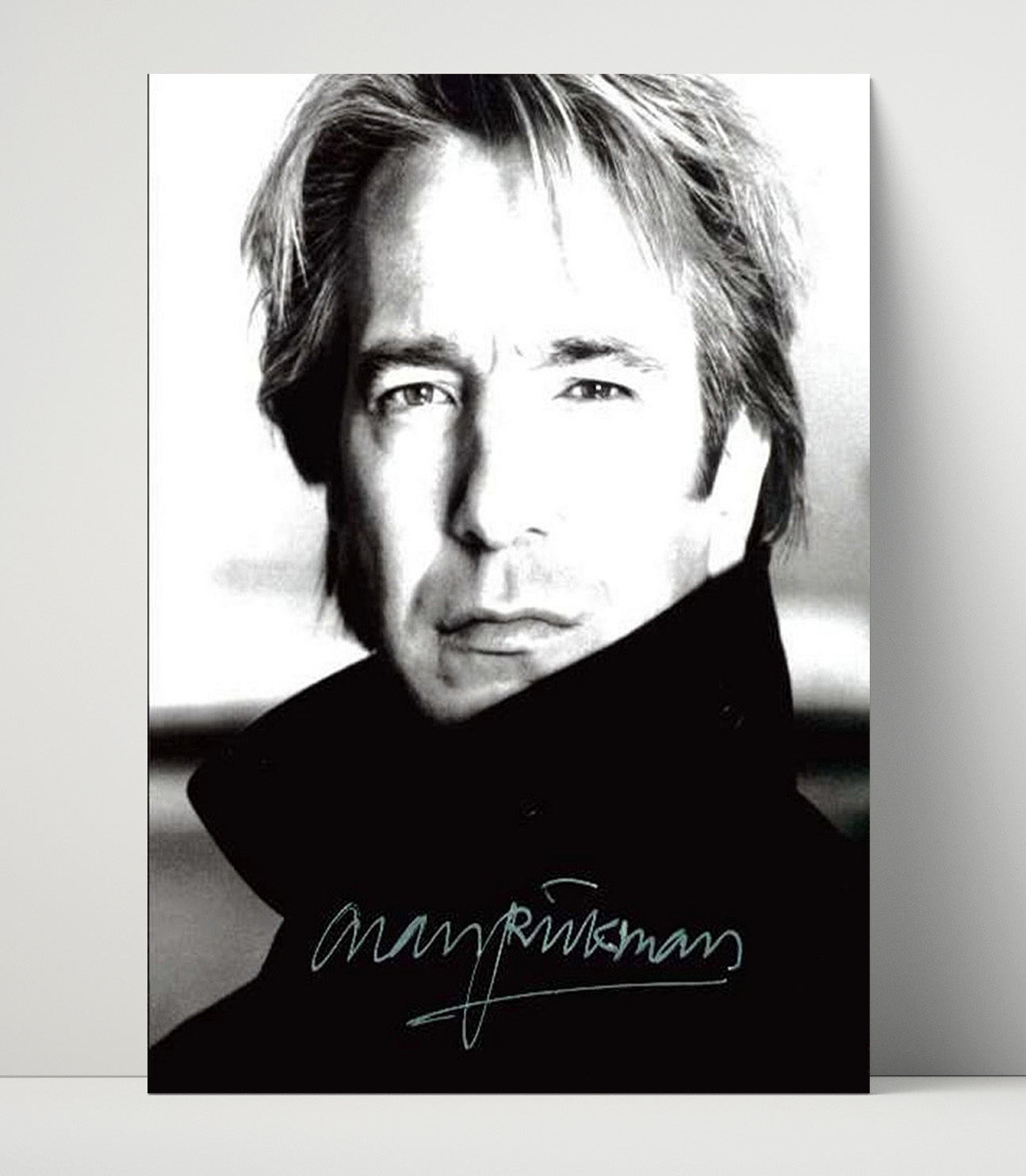Alan Rickman - Dark Elegance Vintage Movie Wall Art - 16x20 Unframed Print movie decor