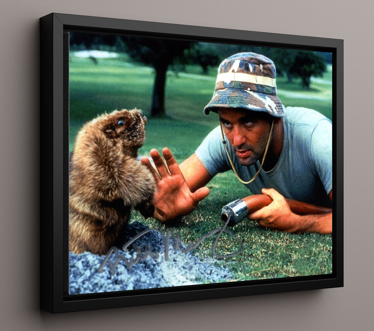 Bill Murray - Caddyshack - The Gophers Nemesis movie wall art 16x20 Gallery Frame