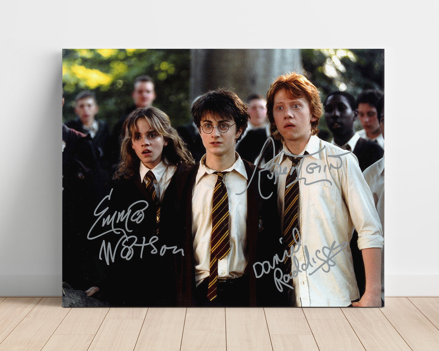 Harry Potter - Cast - Shocked Trio Vintage Movie Wall Art - 16x20 Unframed Print movie decor