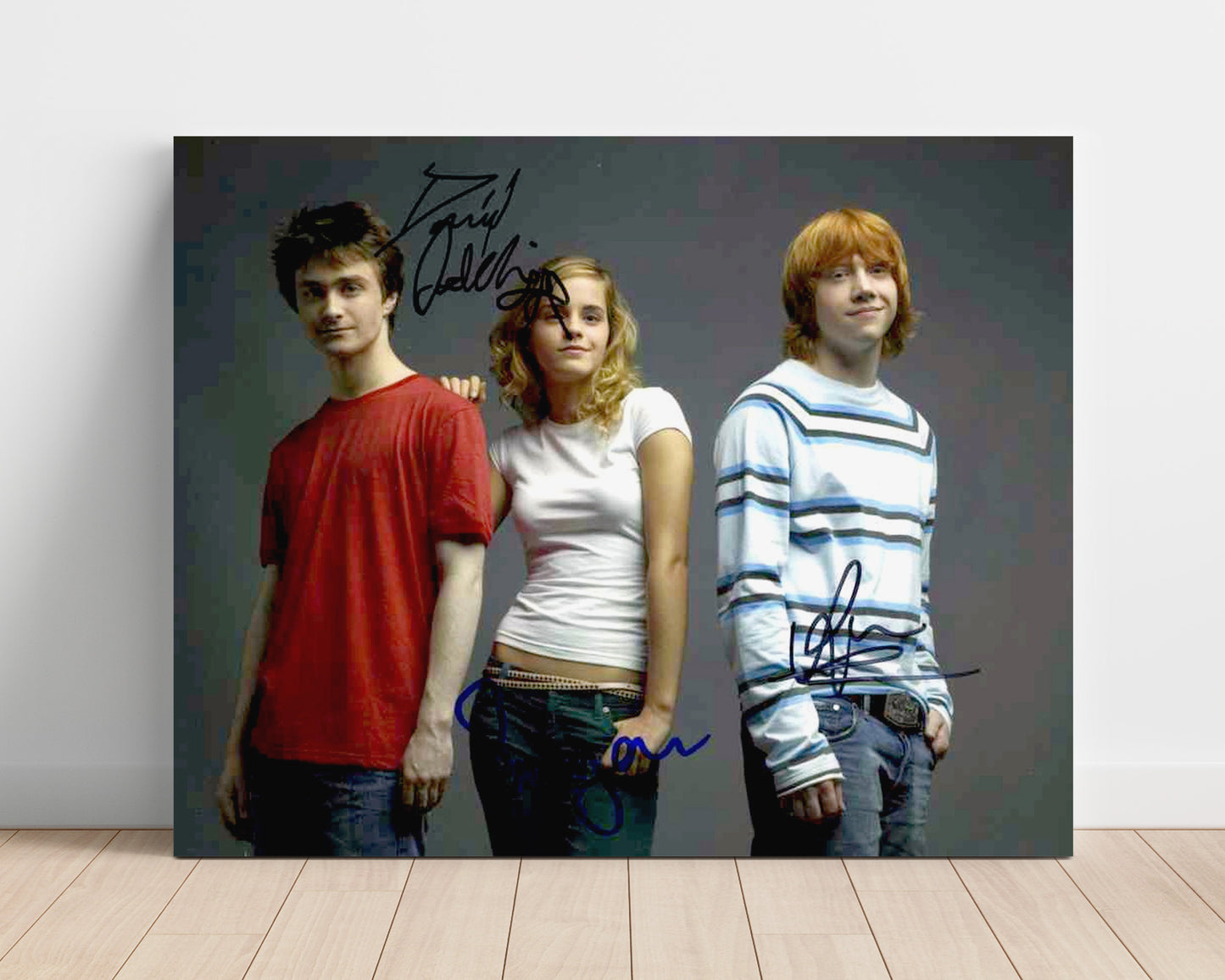 Harry Potter - Daniel Radcliffe - Harry Potter - Trio wizard bond movie wall art 16x20 Unframed Print