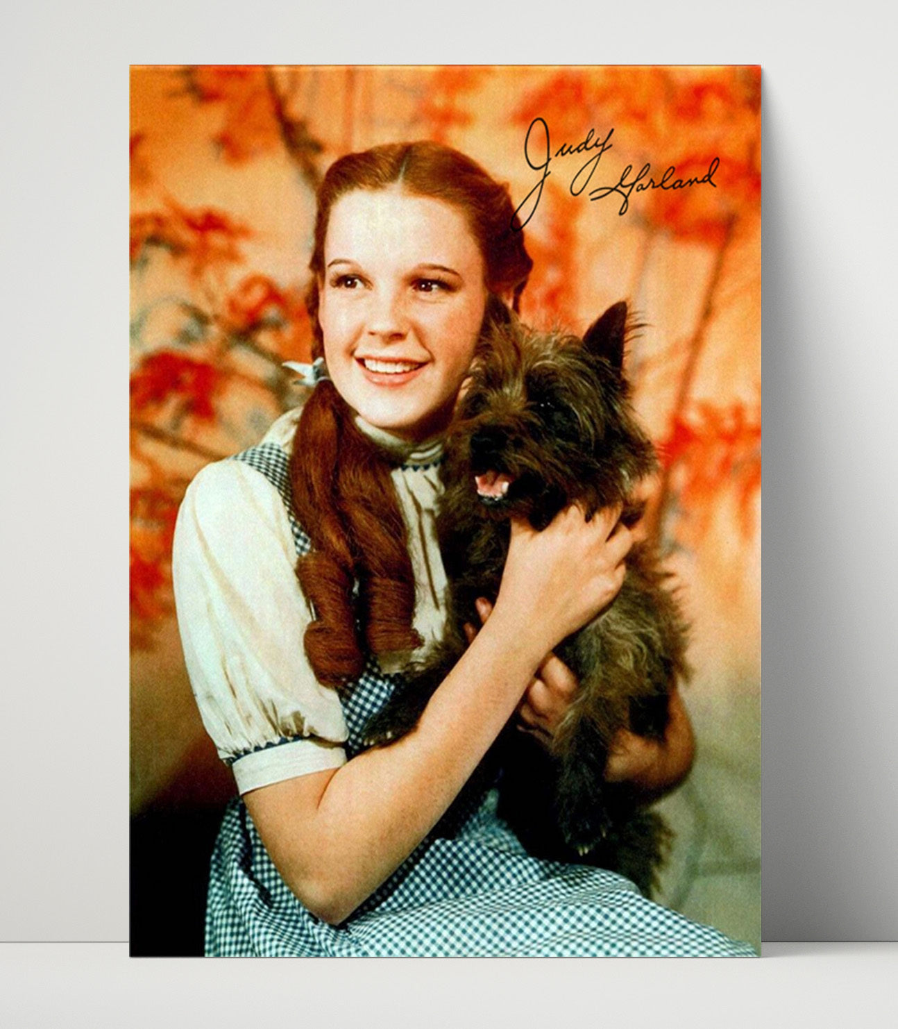 Judy Garland - Wizard of Oz Magic Vintage Movie Wall Art - 16x20 Unframed Print movie decor
