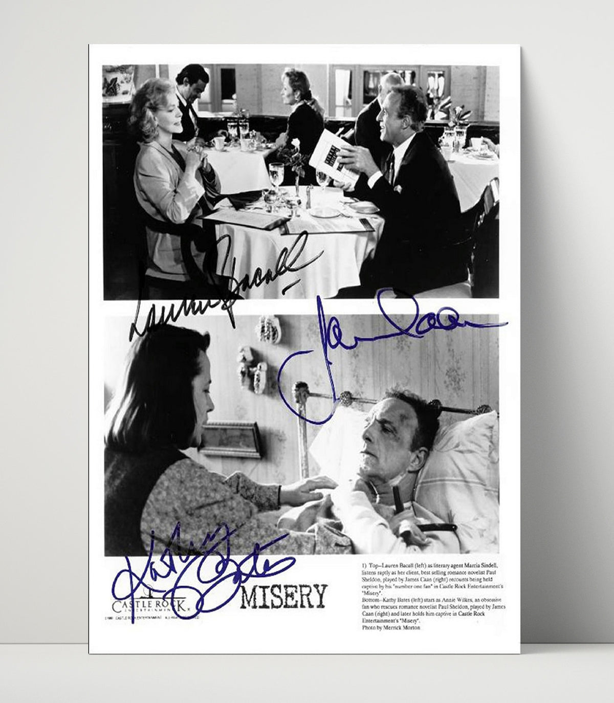 Misery - James Caan Kathy Bates Thriller Terror Scene movie wall art 16x20 Unframed Print