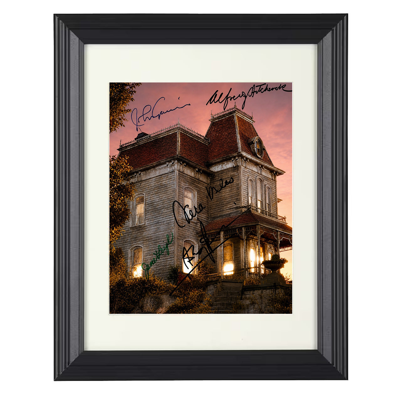 Psycho – Haunted House Cast Image – 8x10 black beveled framed movie wall art