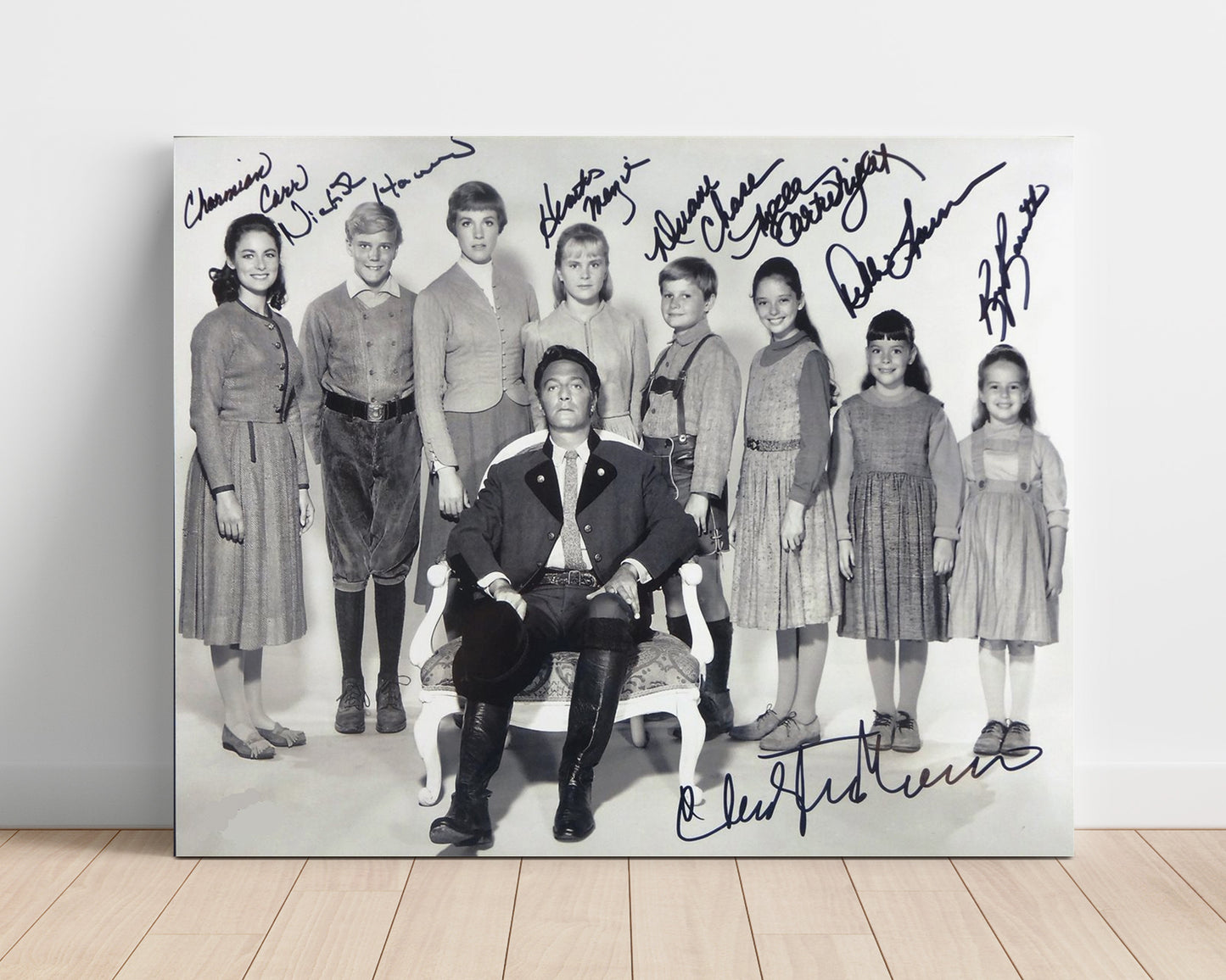 Sound of Music - Julie Andrews - Maria - Hills Are Alive Energy movie wall art 16x20 Unframed Print