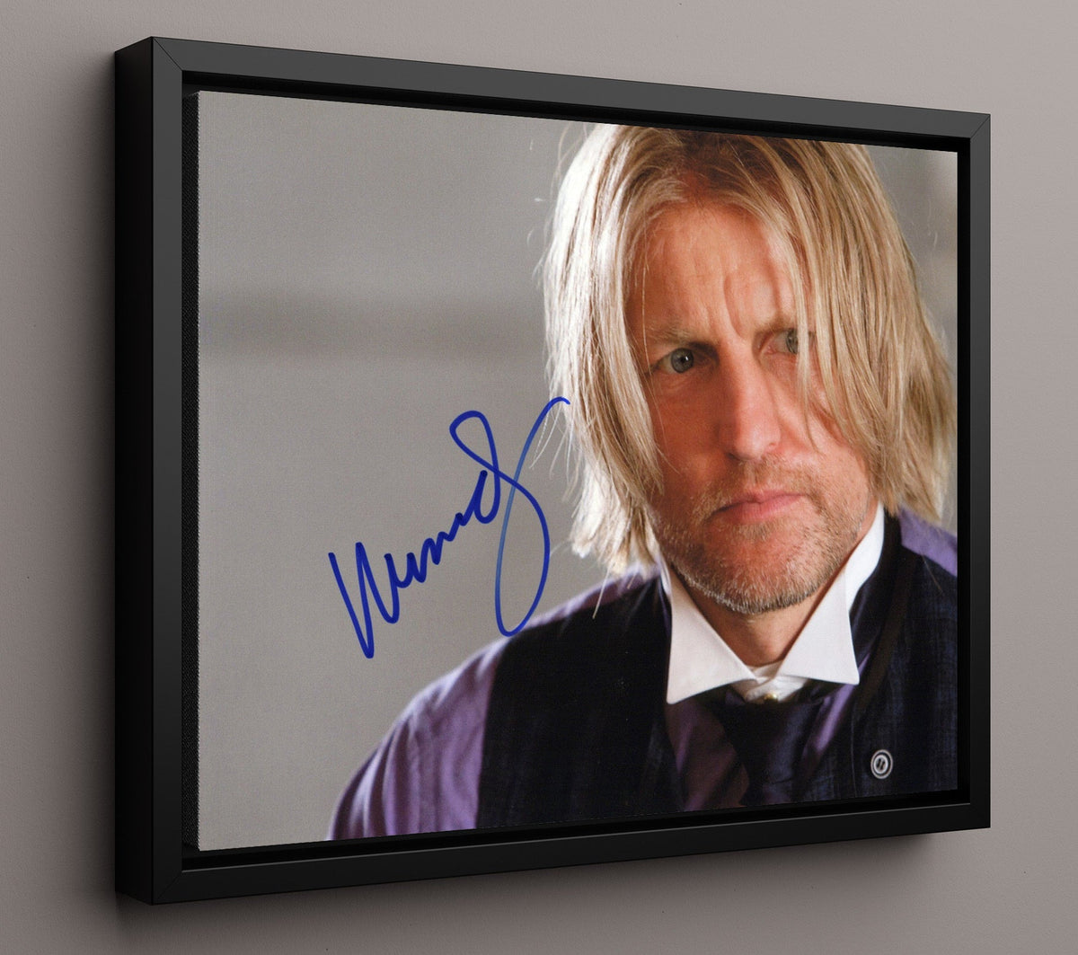 The Hunger Games - Woody Harrelson - Haymitch Abernathy - Drunken Mentor movie wall art 16x20 Gallery Frame