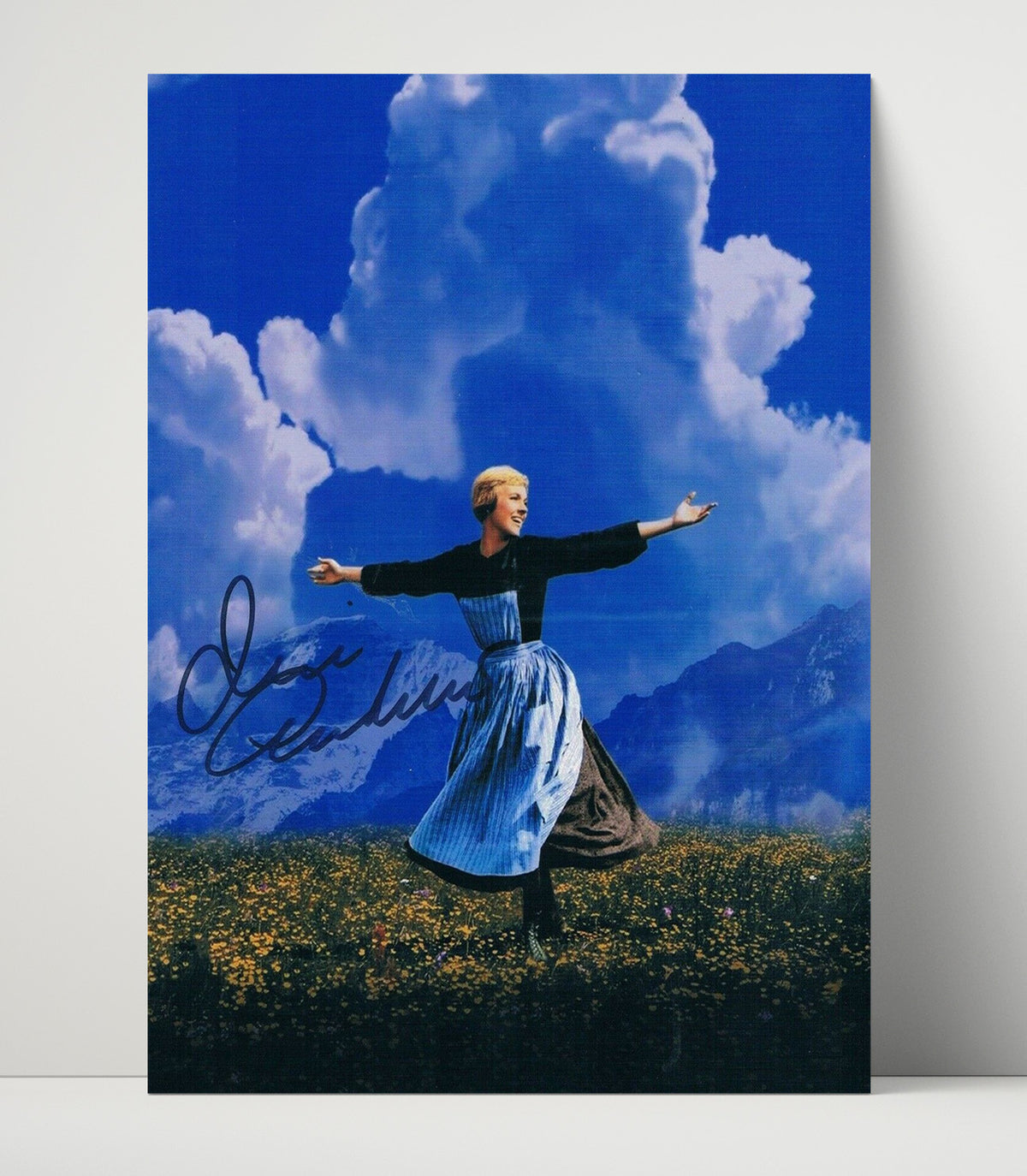 The Sound of Music - Julie Andrews - Maria - Hills Are Alive movie wall art 16x20 Unframed Print