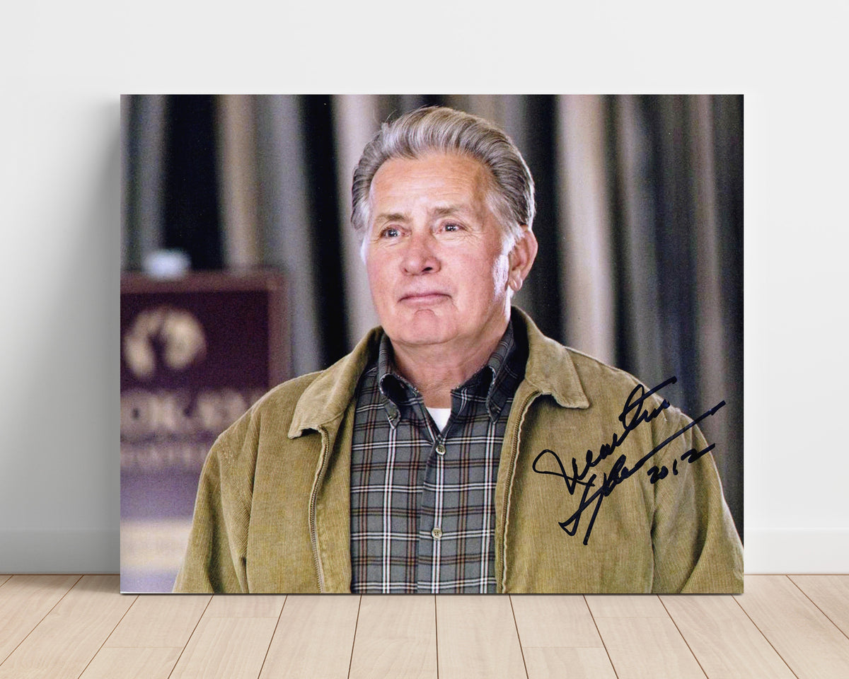 The West Wing - Martin Sheen - Jed Bartlet - Presidential resolve quiet authority movie wall art 16x20 Unframed Print