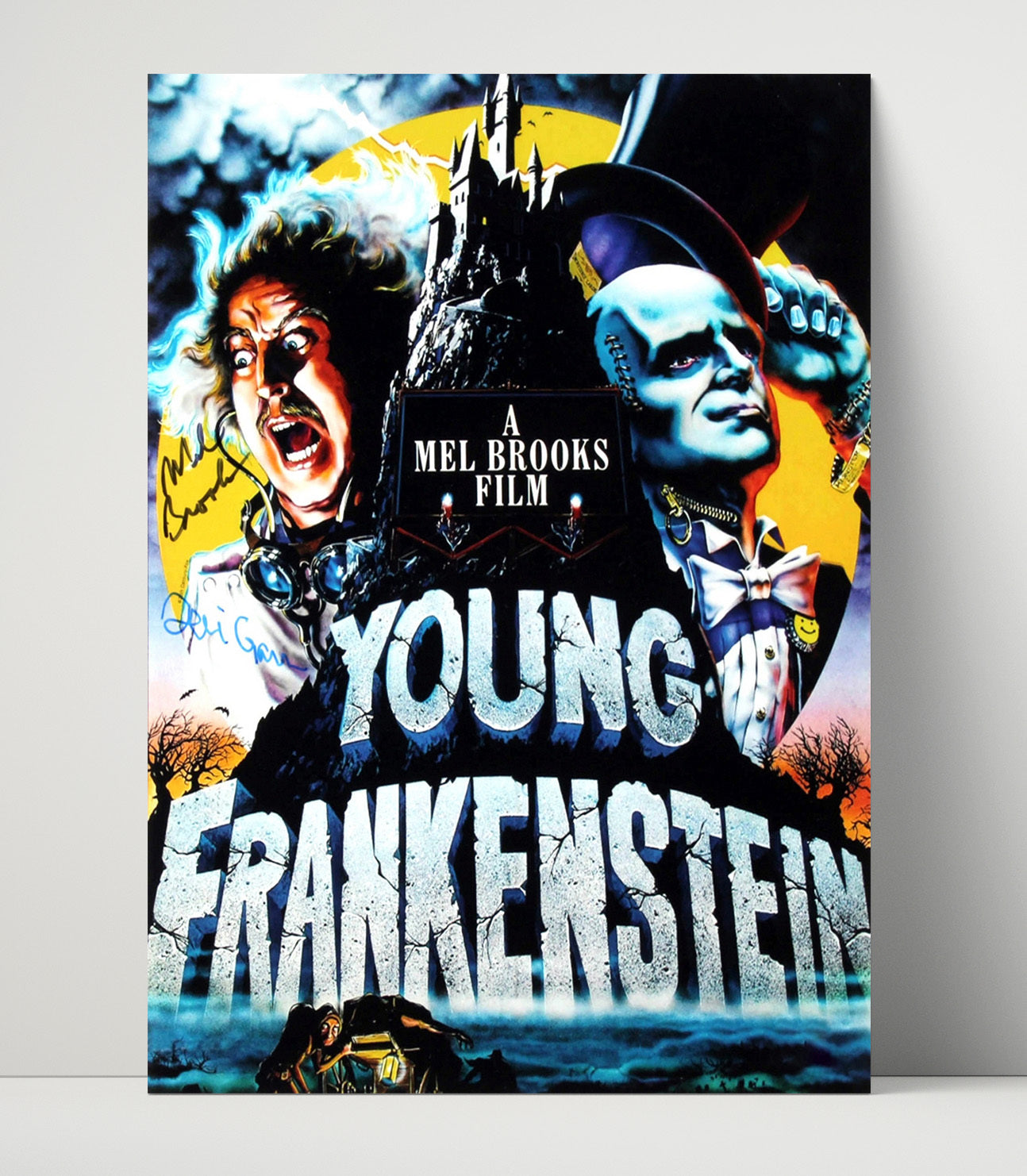 Young Frankenstein - Mel Brooks Teri Garr Mad Lab Comedy Chaos Vintage Movie Wall Art - 16x20 Unframed Print movie decor