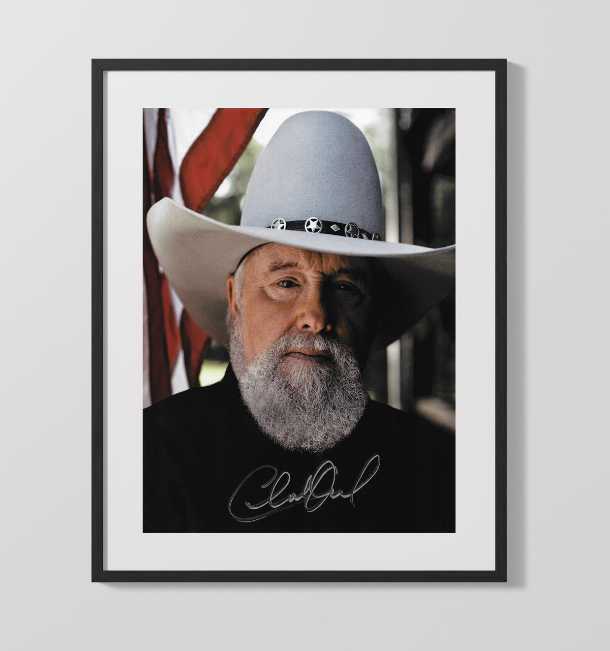 Charlie Daniels - Cowboy Hat American Flag Photo 8x10 Framed Canvas vintage music wall art