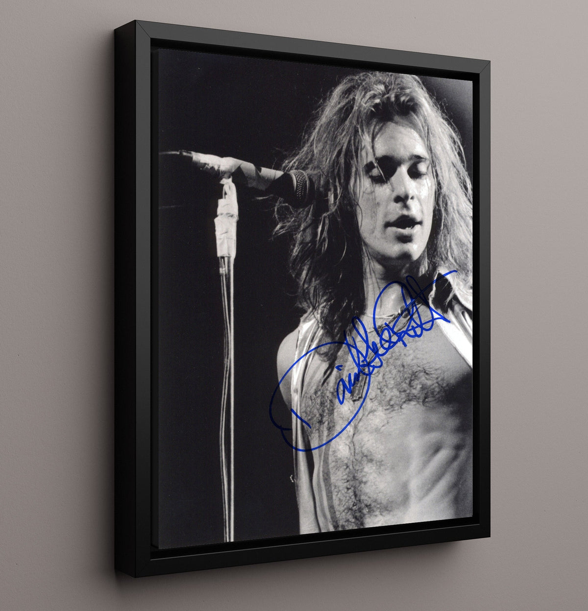 David Lee Roth - Mic and Mane 8x10 Unframed Print vintage music wall art
