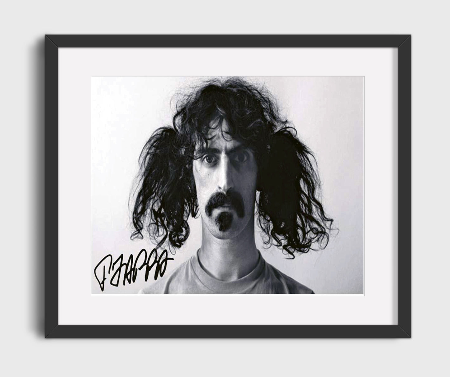 Frank Zappa - Wild Hair and Wilder Genius 8x10 Framed Canvas vintage music wall art