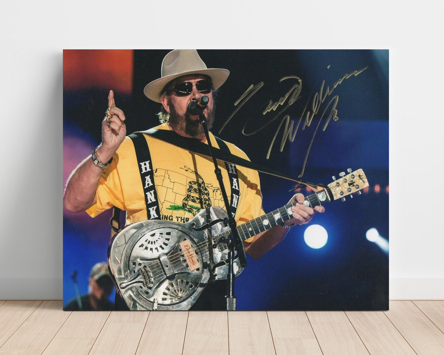 Hank Williams Jr. - Southern Outlaw Sound - Vintage Music Wall Art - 16x20 Unframed Print music decor