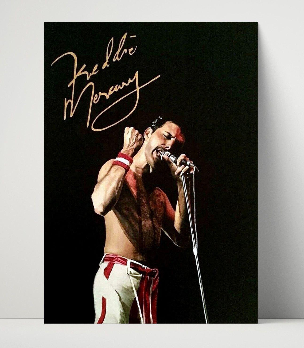 Queen - Freddie Mercury Live Microphone Performance - Vintage Music Wall Art - 16x20 Unframed Print music decor