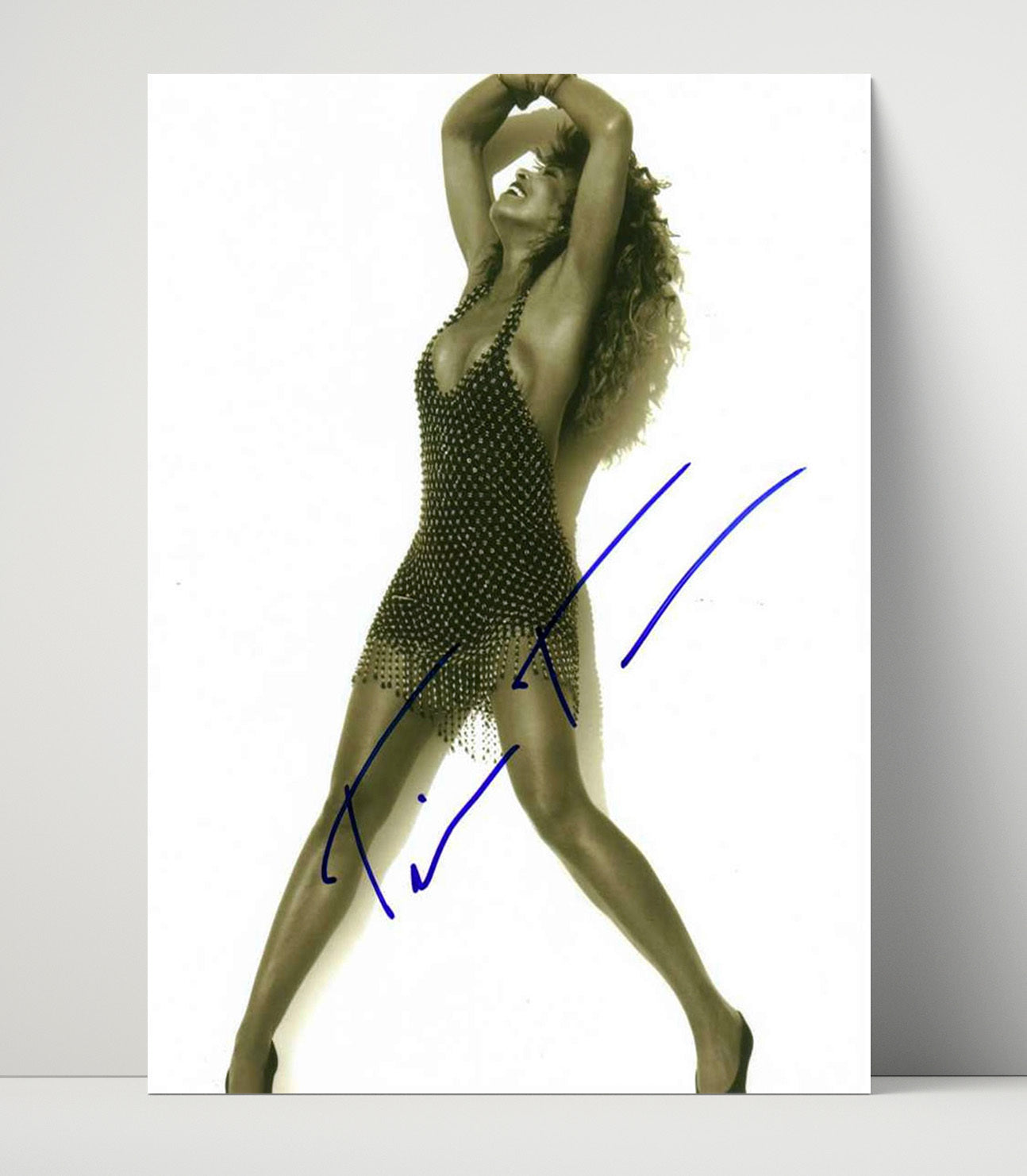 Tina Turner - Studded Dress Performance Pose Music Wall Art 16x20 Unframed Print wall art print – Music decor