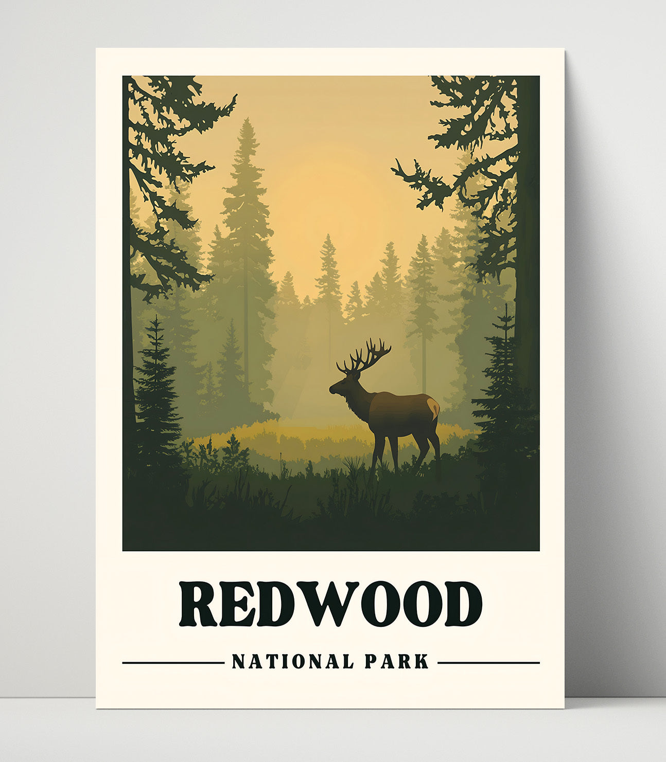 Redwood Tall Trees Grove Version 1 National Parks Wall Art - 16x20 Unframed Print