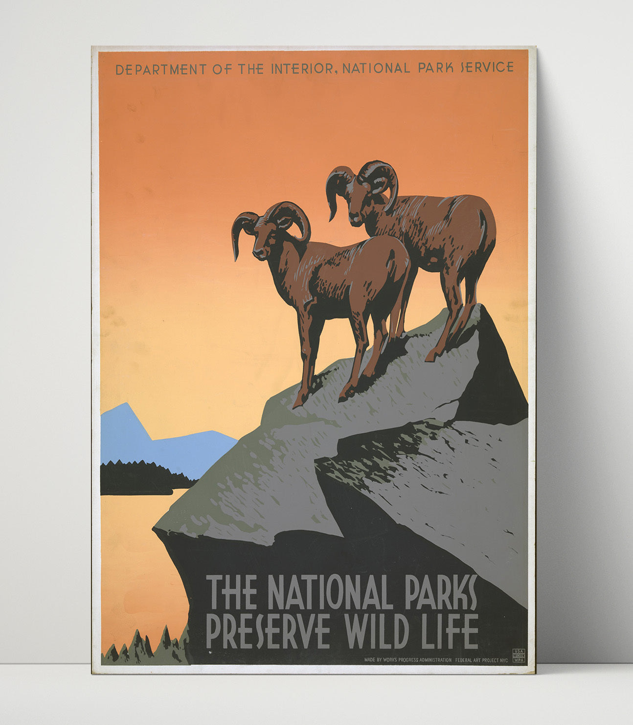 Wildlife - Rams on the Rocks National Parks Wall Art - 16x20 Unframed Print