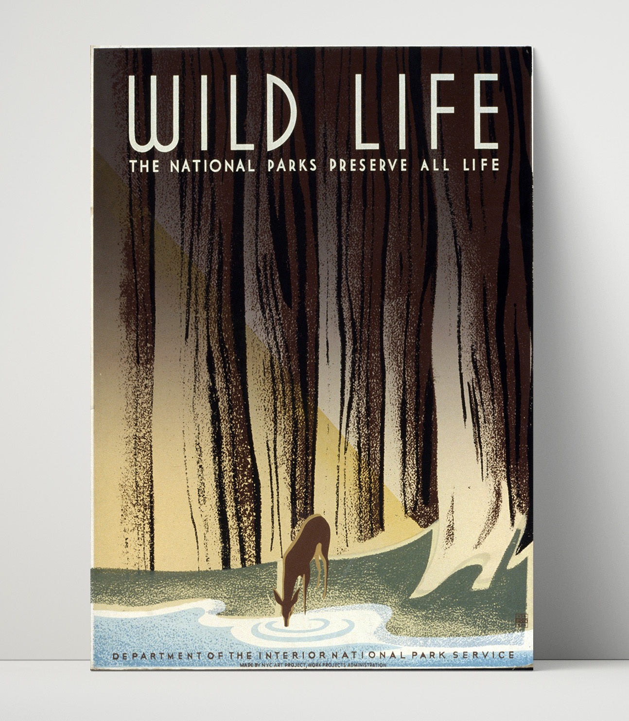 Wildlife - Thirst in the Forest National Parks Wall Art - 16x20 Unframed Print