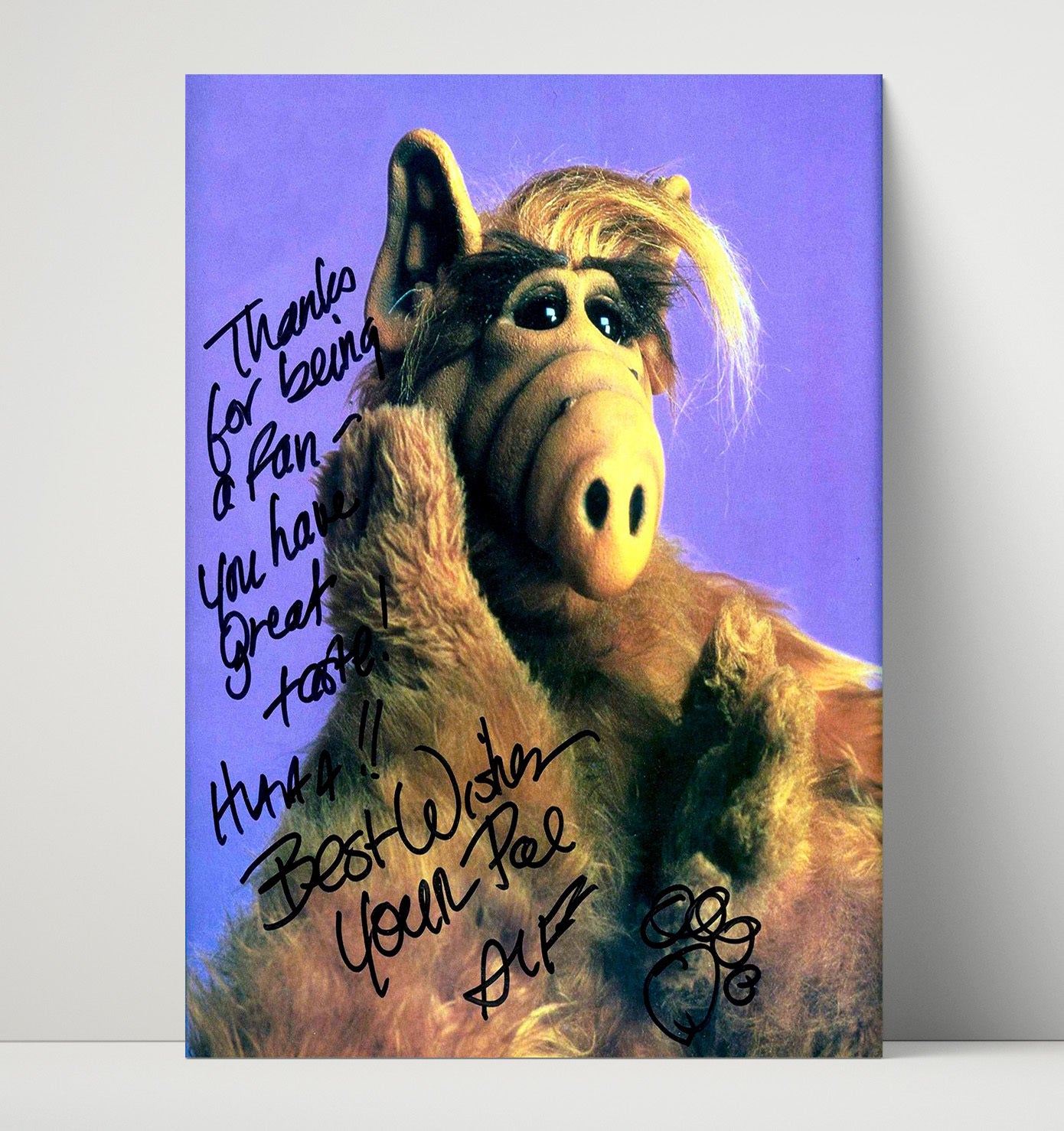 ALF - ALF Wisecracking Alien Visitor - Vintage Television Wall Art - 16x20 Unframed Print wall art print - television decor