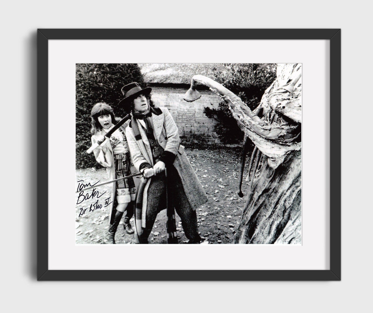 Doctor Who - Tom Baker (Fourth Doctor) Giant Plant Encounter Scene - Gallery Frame television wall art