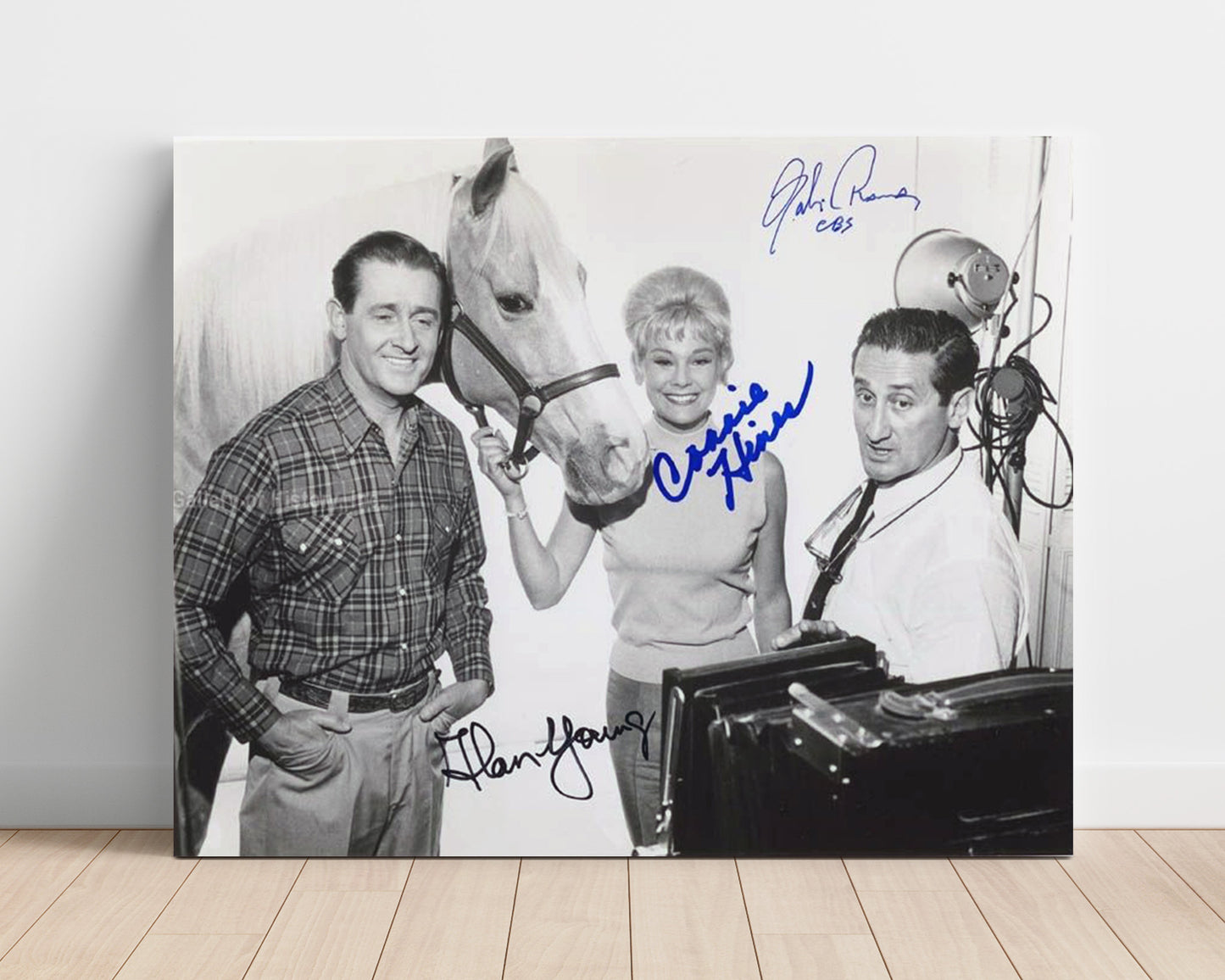 Mister Ed - Alan Young (Wilbur Post) and Connie Hines (Carol Post) Studio Horse Comedy Cast - Vintage Television Wall Art - 16x20 Unframed Print wall art print - television decor