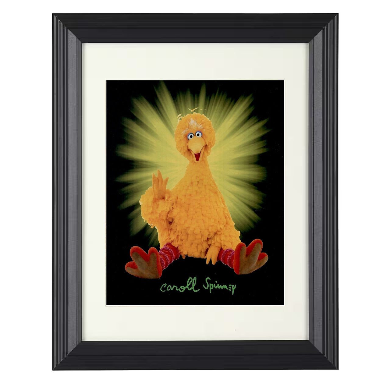 Sesame Street – Caroll Spinney Big Bird Beloved Childrens TV – 8x10 black beveled framed television wall art