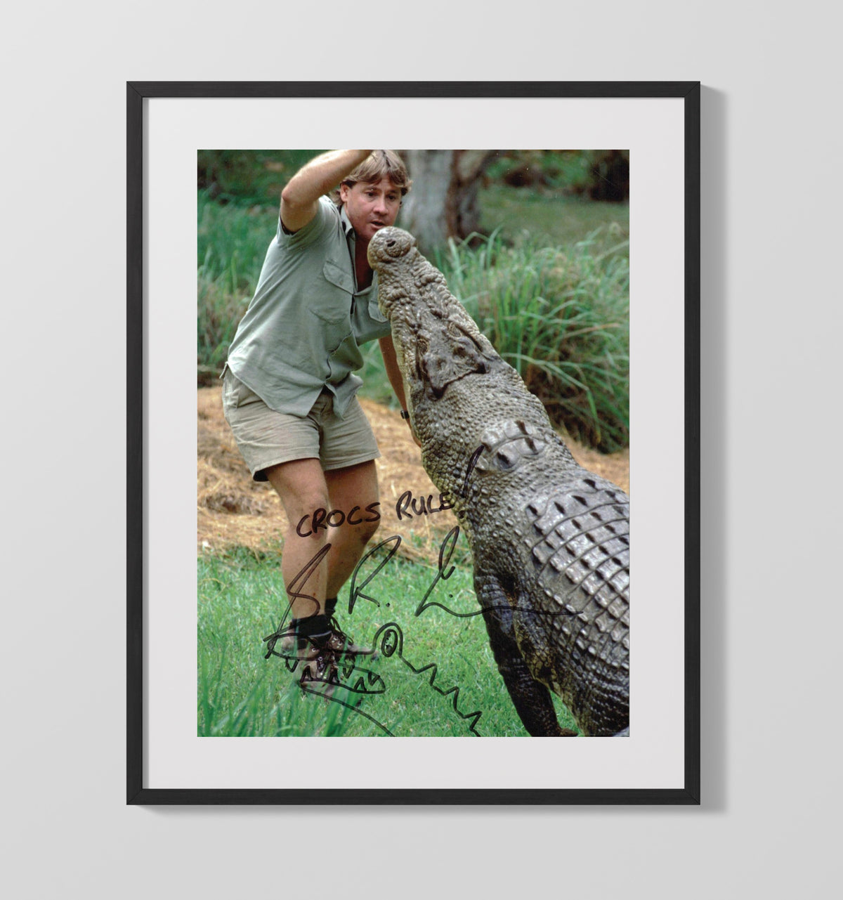 The Crocodile Hunter - Steve Irwin Crocodile Encounter Wildlife Scene - Gallery Frame television wall art