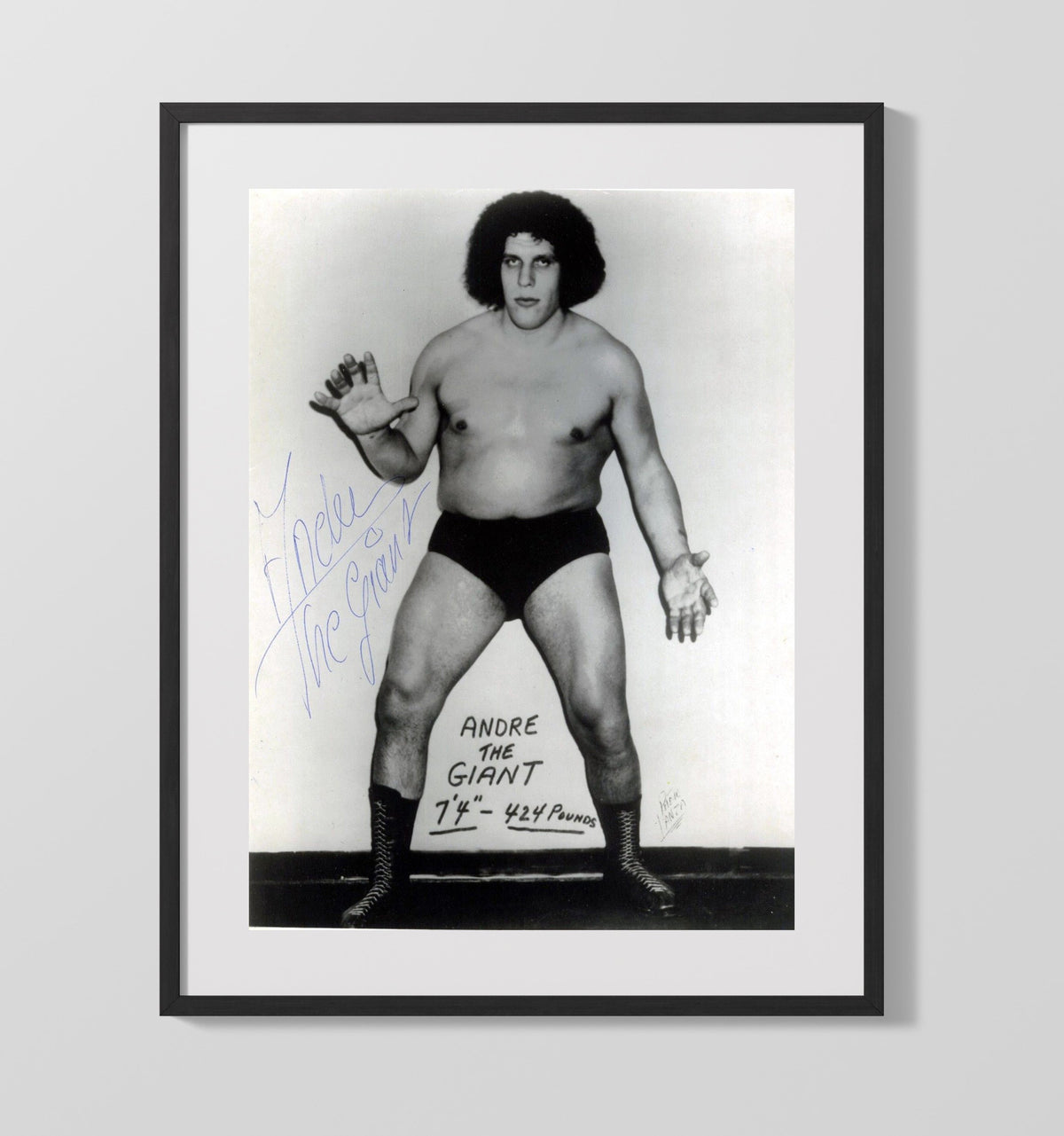 Andre the Giant - Classic Full-Body Studio Pose - Gallery Frame wrestling wall art
