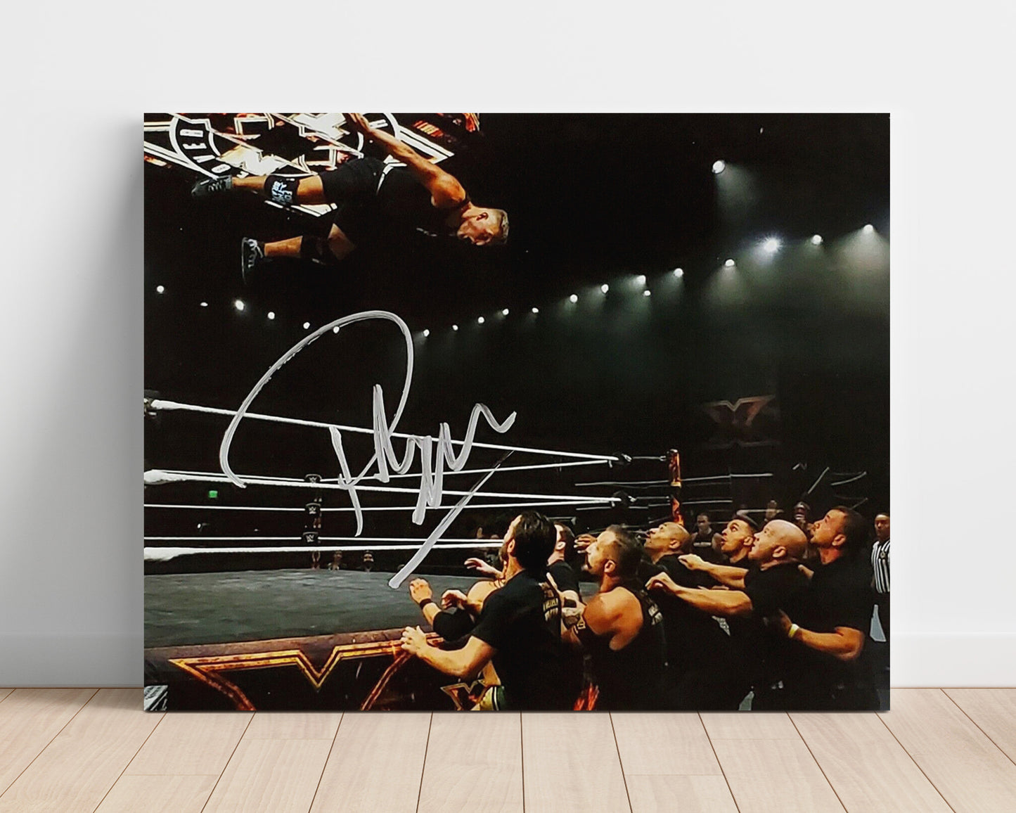 Pat McAfee - Top Rope Dive NXT Arena Wrestling Wall Art Unframed Print wall art print – wrestling decor