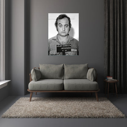 Mugshot Print: Joliet Jake - Belushi - vintageframedprints.com