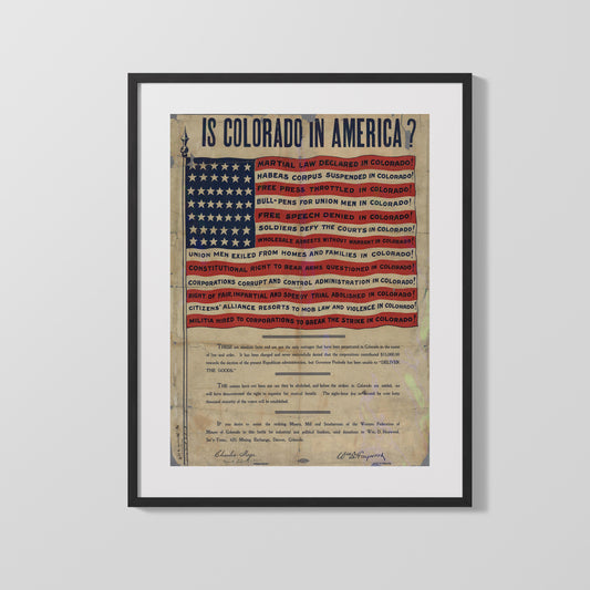 “Is Colorado in America?” Free Speech Protest Art - vintageframedprints.com