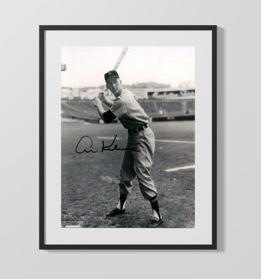 Al Kaline - Black and white full-length batting stance 8x10 Canvas baseball wall art