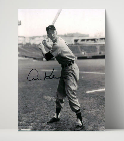 Al Kaline – Monochrome Full-Length Batting Stance - Baseball Wall Art