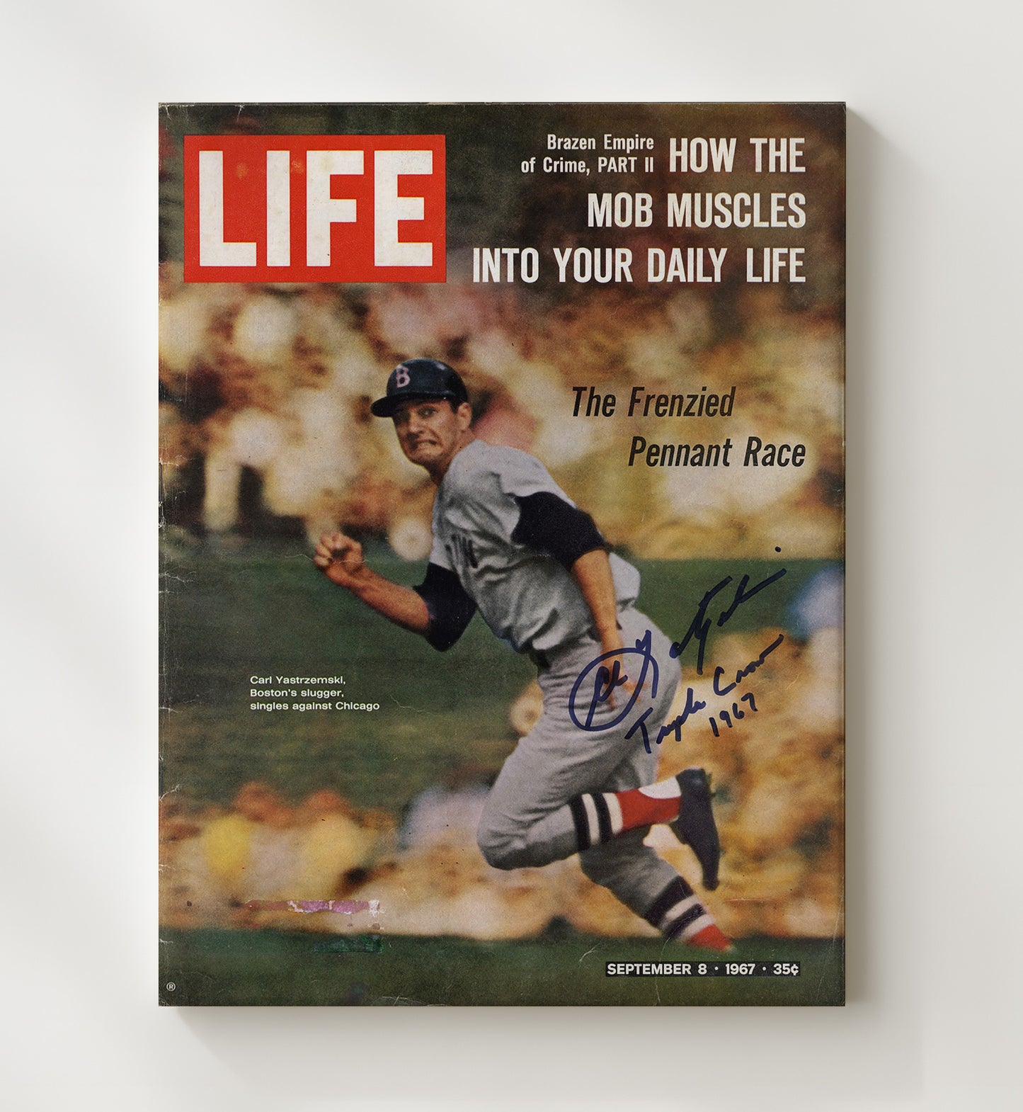 Carl Yastrzemski - SI Cover Spotlight Baseball Wall Art 20x24 Canvas wall art print – Baseball Wall Art decor