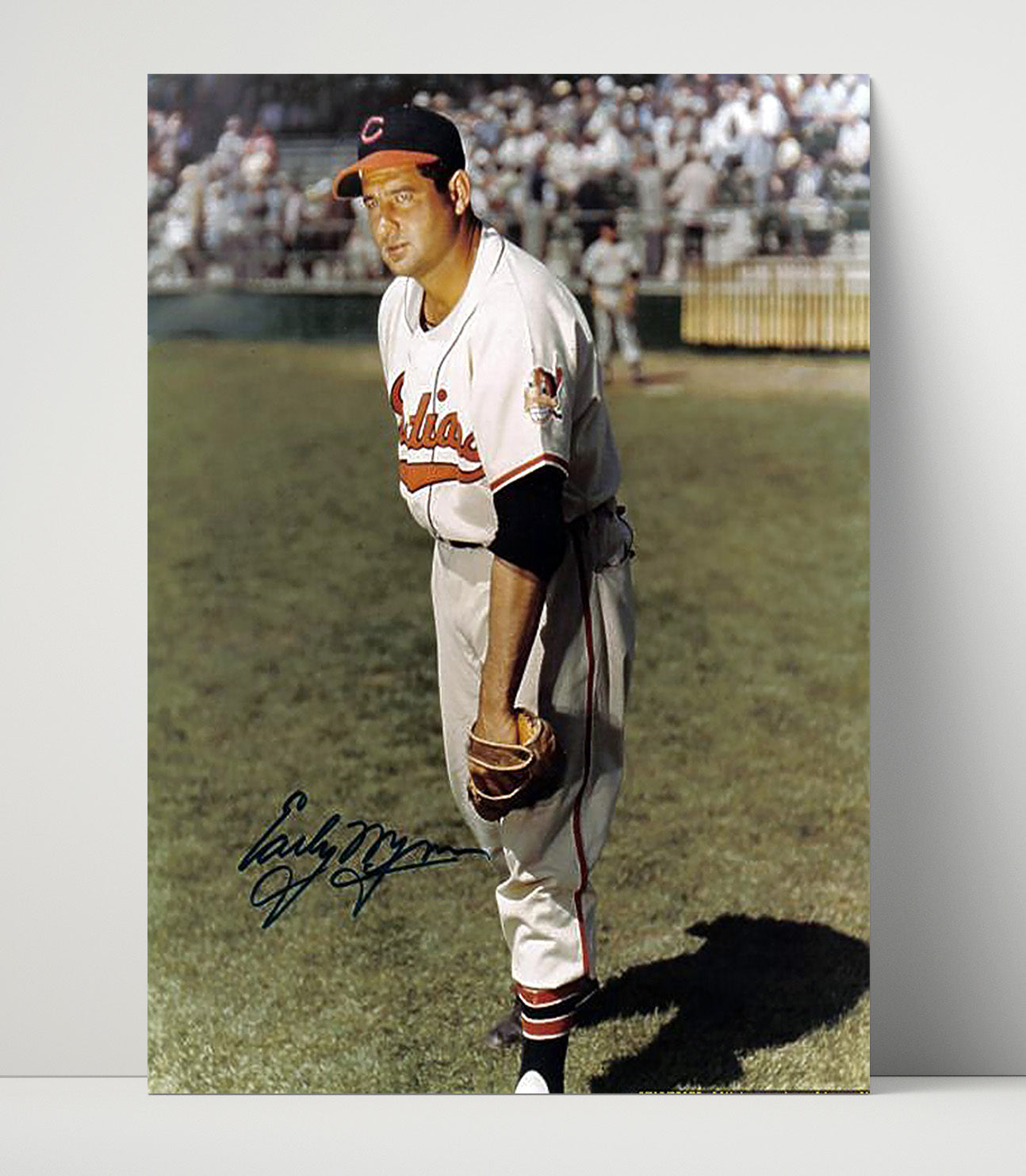 Early Wynn - In Grass With Glove Baseball Wall Art 16x20 Unframed Print wall art print – Baseball Wall Art decor