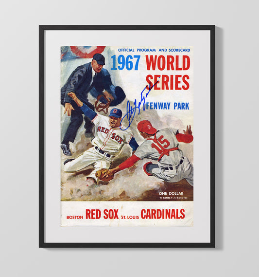 Series - Fenway Park Program Art SI Cover 8x10 Canvas baseball wall art
