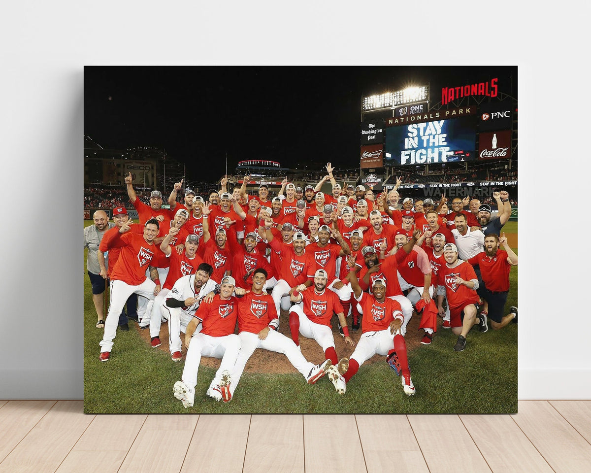 Washington Nationals – 2019 Series Dogpile unframed baseball poster print