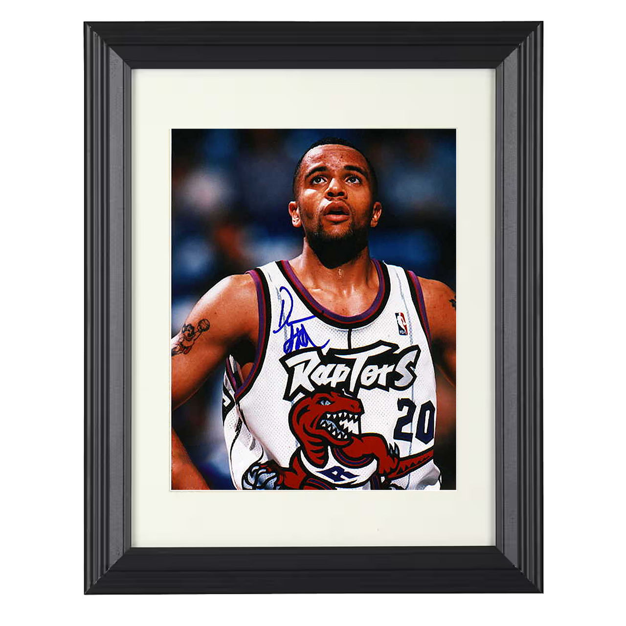 Damon Stoudamire - Raptors Expansion Era 8x10 framed basketball wall art
