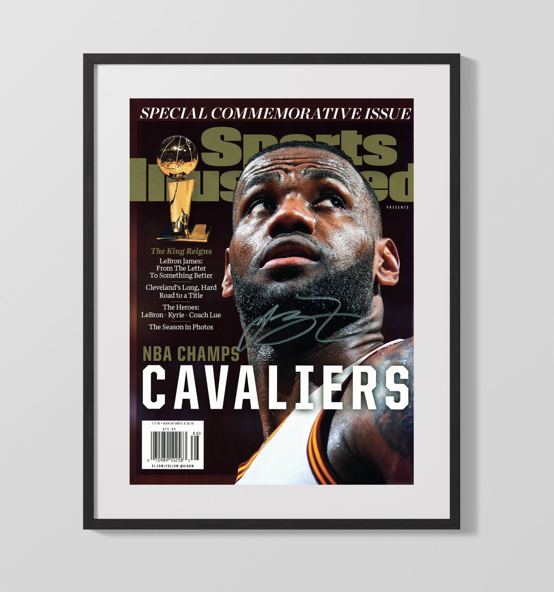 LeBron Cleveland Champion Spotlight Basketball Wall Art 16x20 Gallery Frame basketball wall art print