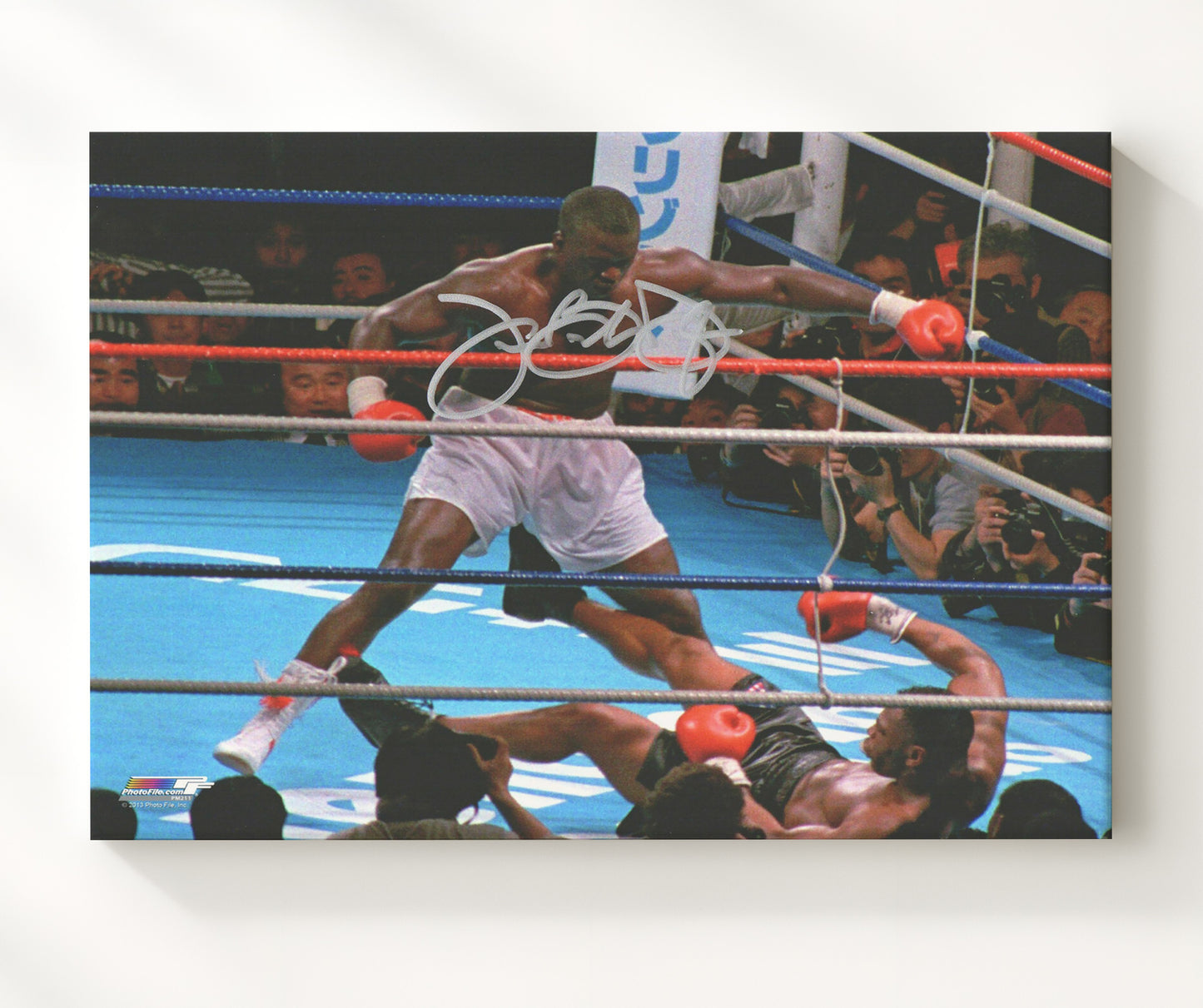Buster Douglas and Mike Tyson Upset of the Century 20x24 Canvas boxing wall art print – Boxing Wall Art decor