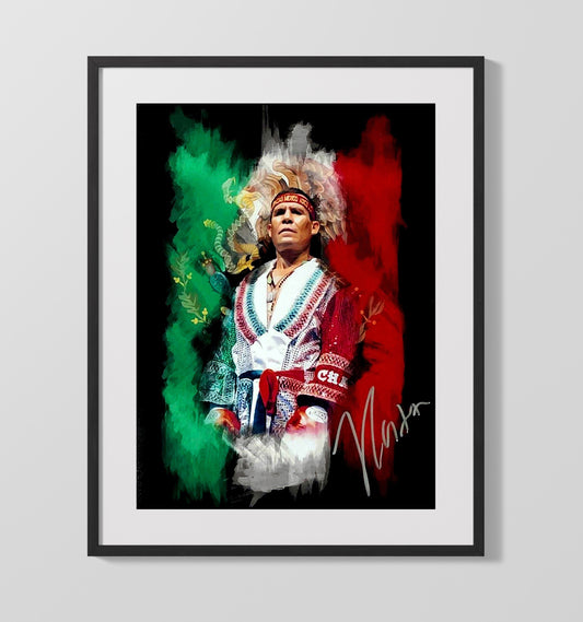 Julio Cesar Chavez Mexican Flag Champion Portrait Boxing Wall Art 16x20 Gallery Framed Artwork wall art print – Boxing Wall Art decor